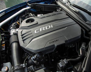 Kia Stinger blue details  (26)